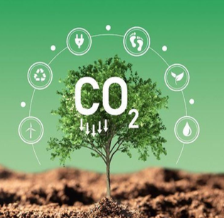 Bilan carbone Bilan carbone
