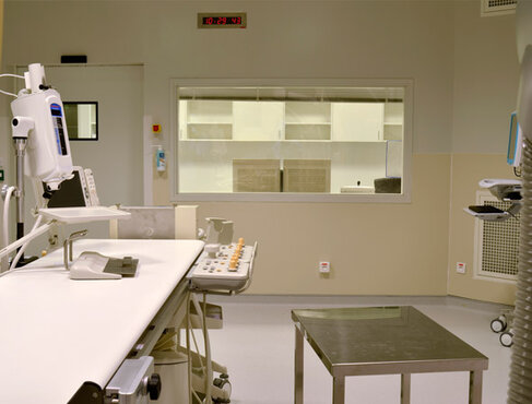 Portes anti-X 